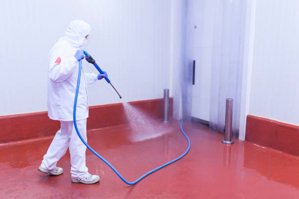 Best Rust Removal  in Harriman, NY